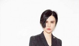 明星黑料网,明星黑料网背后的真相与影响