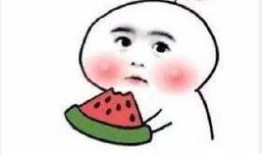 吃瓜有理报料无罪